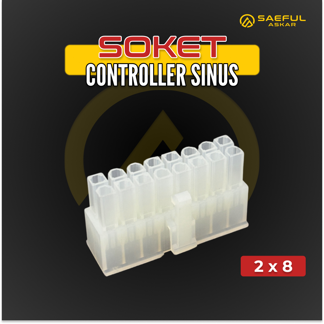 Socket controller SINUS