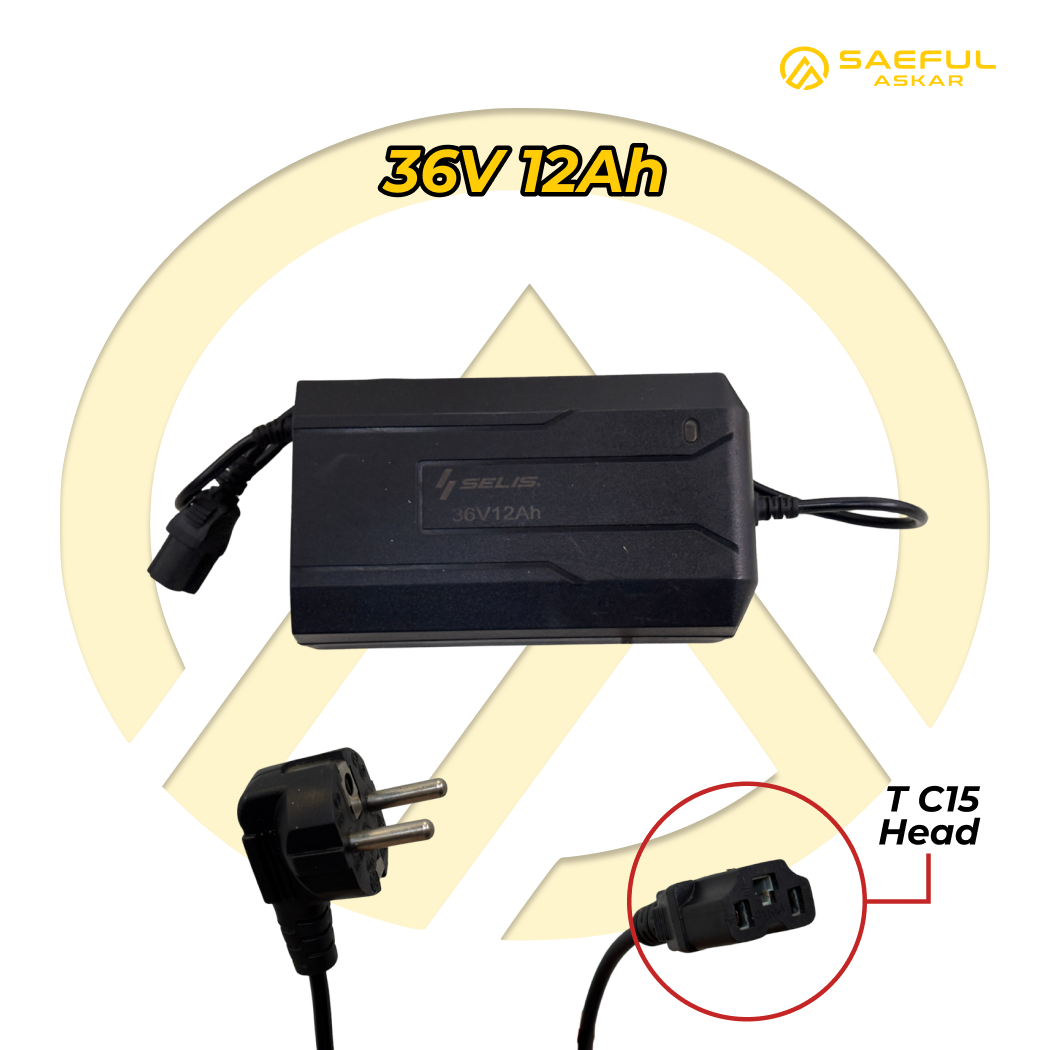 Charger 36V