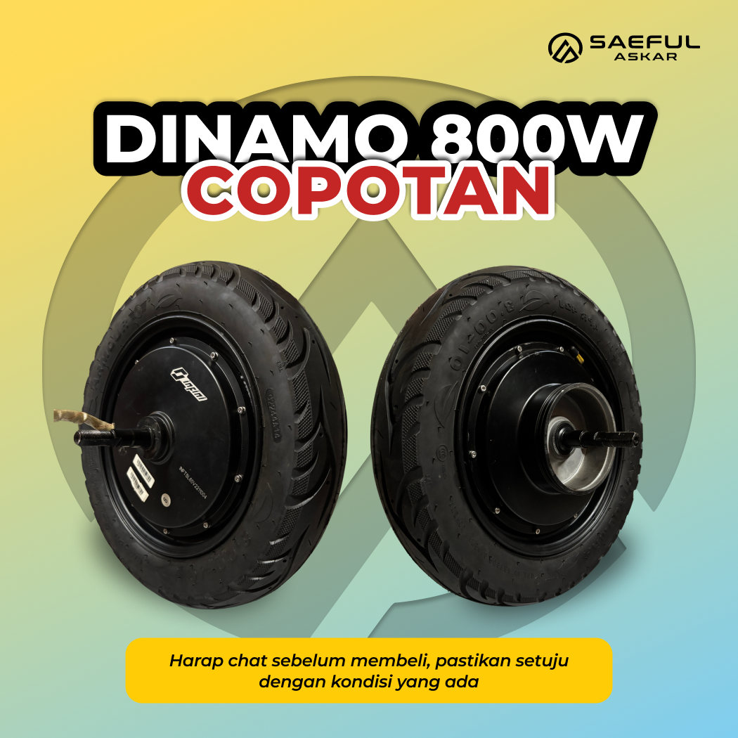 Dinamo BLDC 800W R10