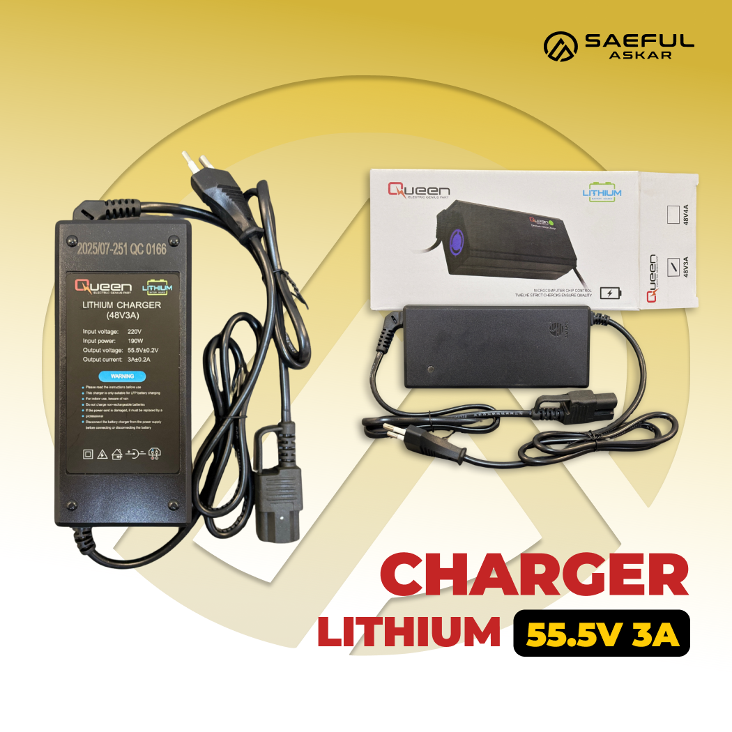 48V Lithium Charger