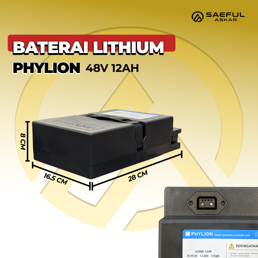 LITHIUM PHYLION 48V
