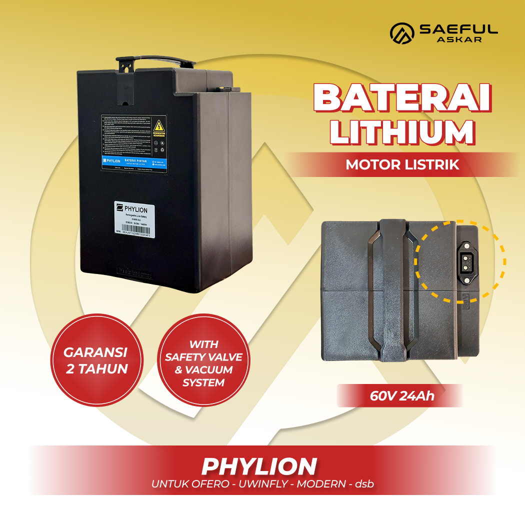 LITHIUM PHYLION 60V