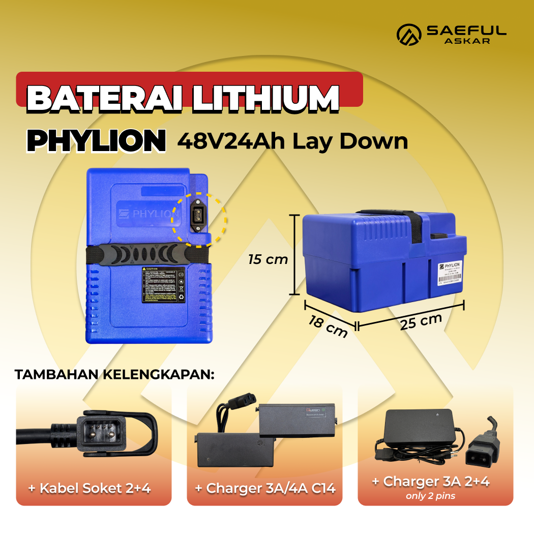 [B] Set Baterai Lithium Phylion, Kabel Socket, Charger | 48-20 48-24 2+4